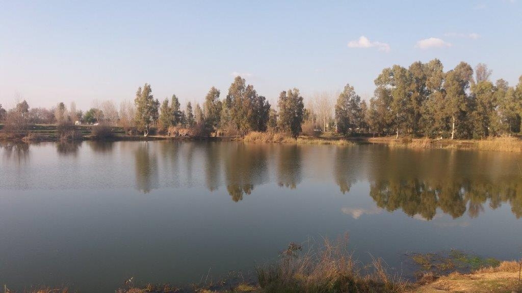 ADJUDICACIÓN OBRA PESQUILES EN CHARCA MUNICIPAL DE PUEBLA DE LA CALZADA